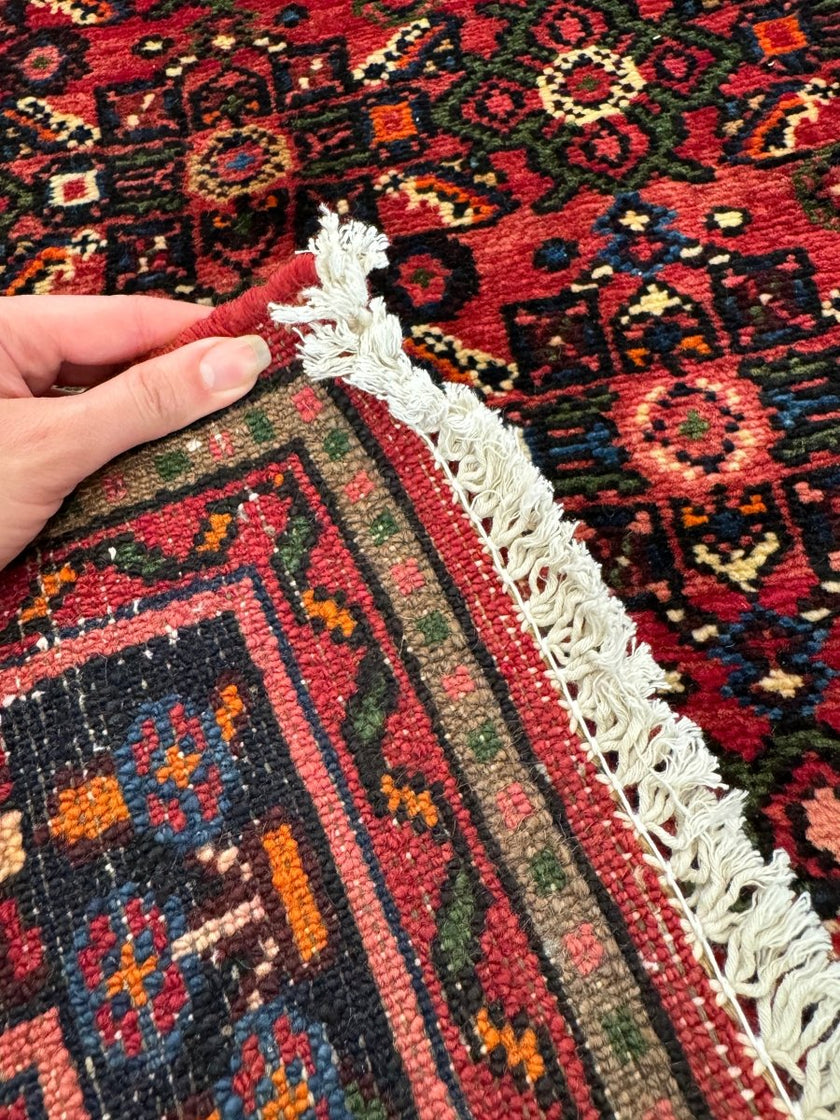 Persian Hosseinabad Runner Rug | 2' 11