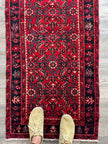 Persian Hosseinabad Runner Rug | 2' 4