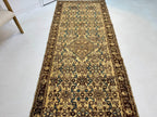 Persian Hosseinabad Runner Rug | 3' 8” x 10' 2