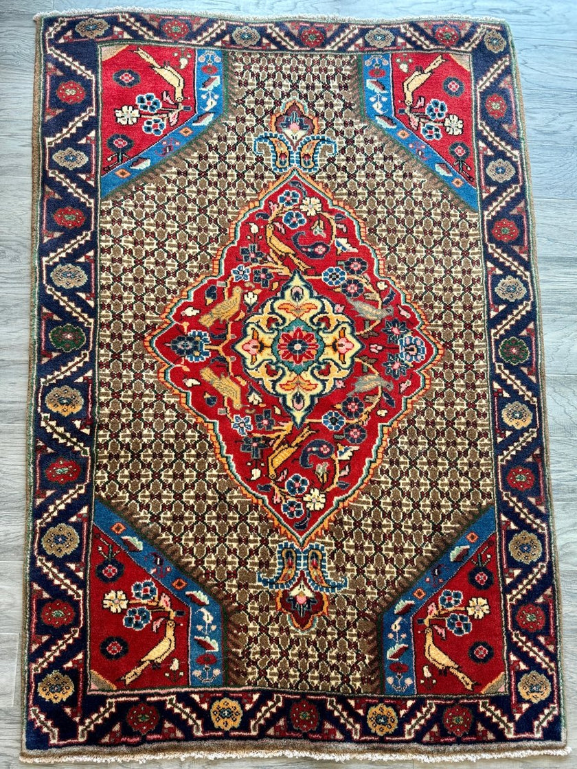 Persian Koliai Rug | 3' 4