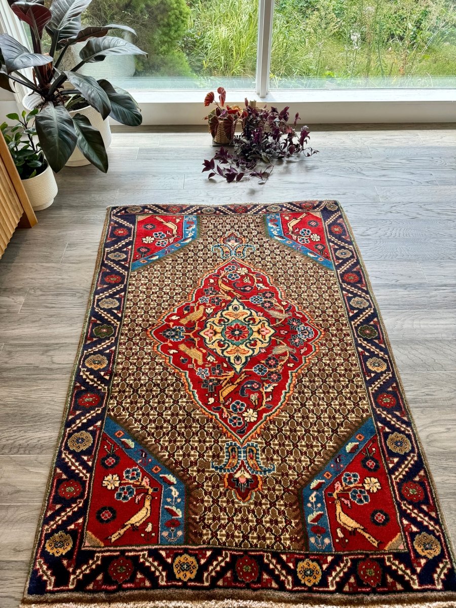 Persian Koliai Rug | 3' 4