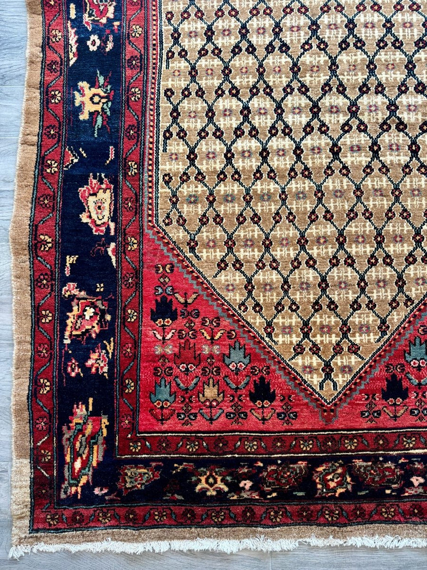 Persian Koliai Rug | 5’ x 7' 8
