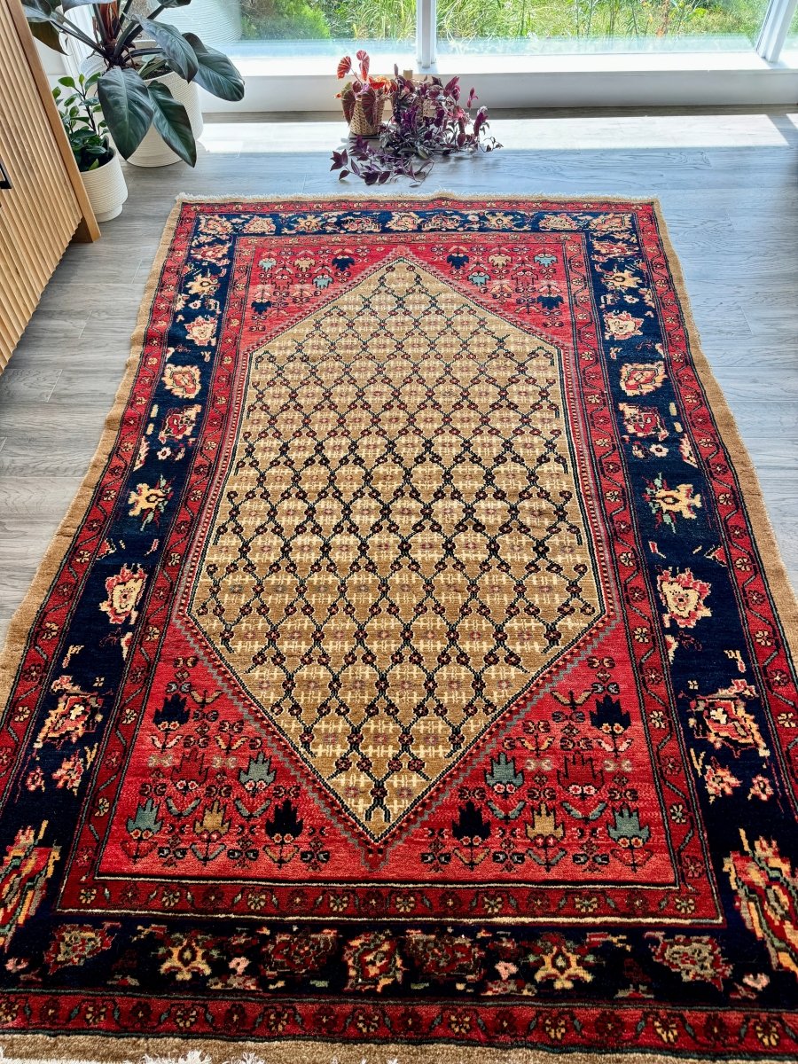 Persian Koliai Rug | 5’ x 7' 8