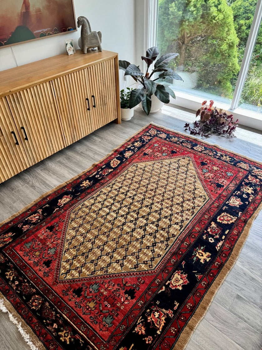 Persian Koliai Rug | 5’ x 7' 8