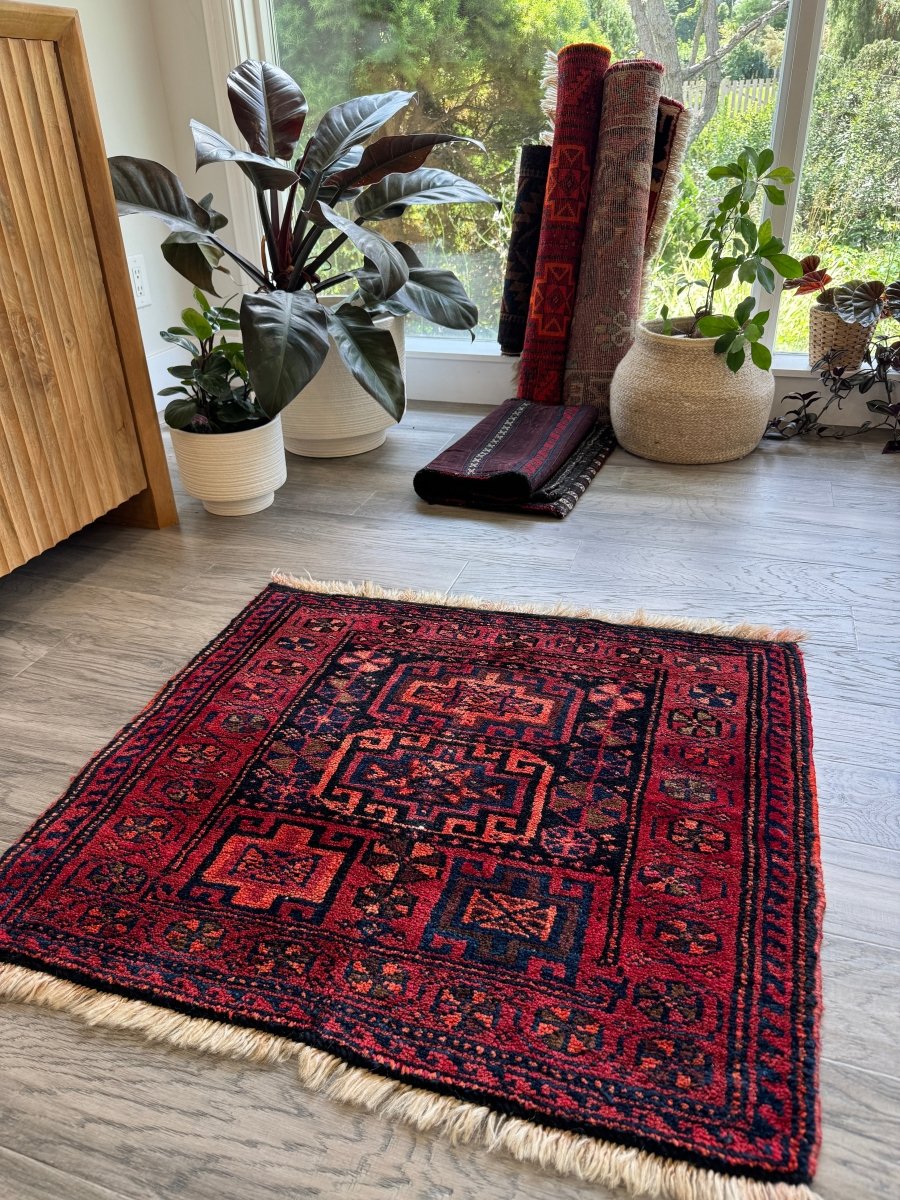 Persian Lori Rug | 2' 5