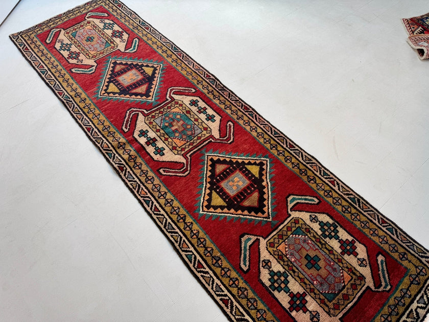 Persian Luri Runner Rug | 2' 10” x 9' 9