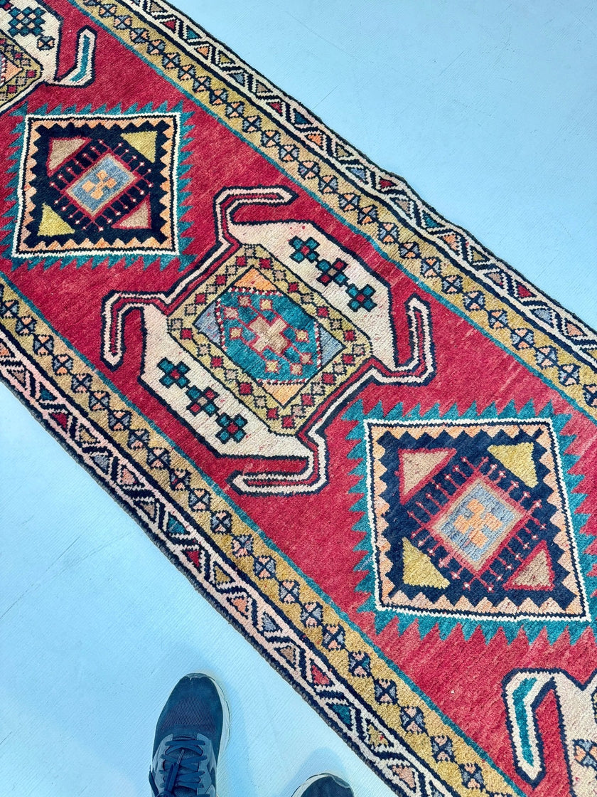 Persian Luri Runner Rug | 2' 10” x 9' 9
