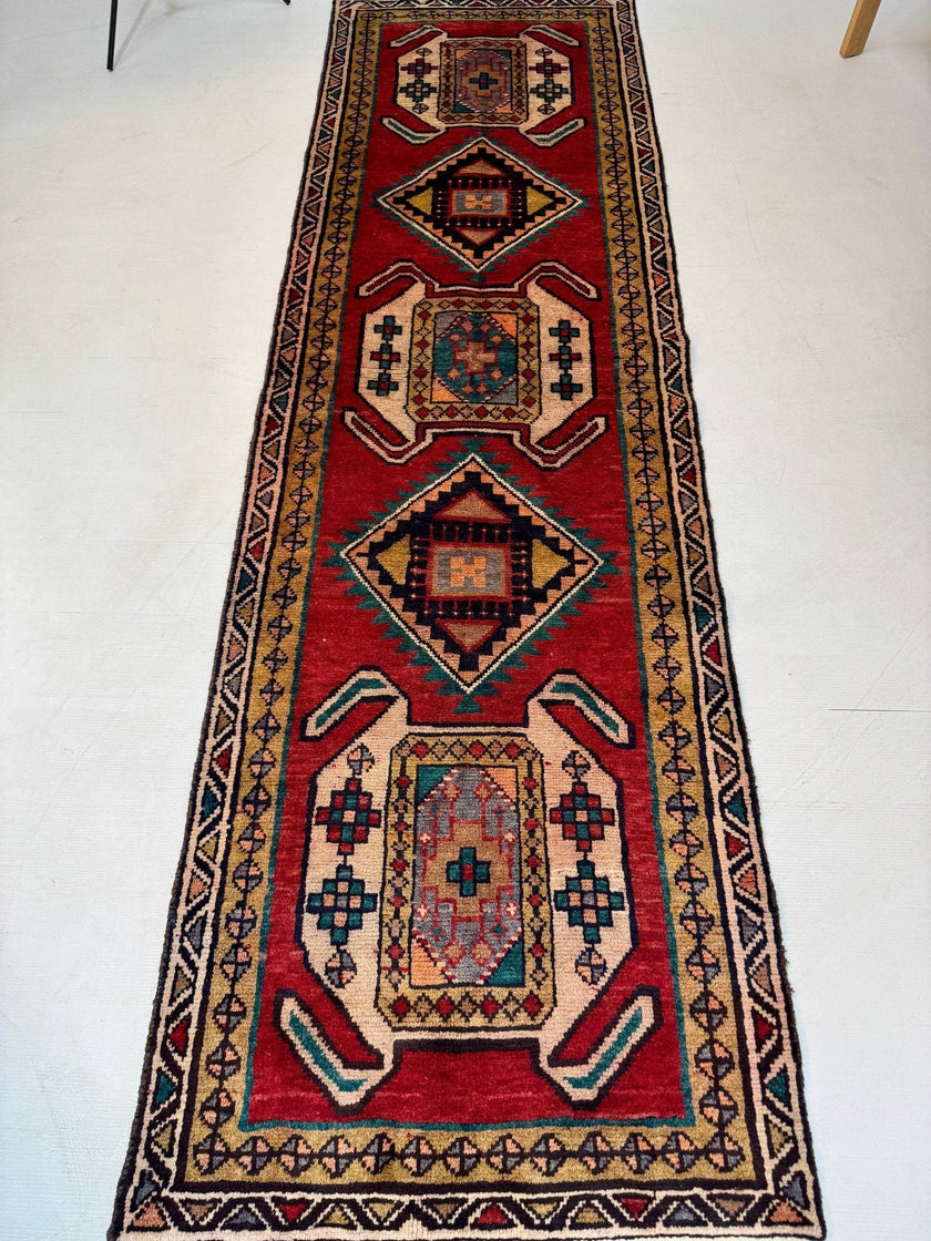 Persian Luri Runner Rug | 2' 10” x 9' 9