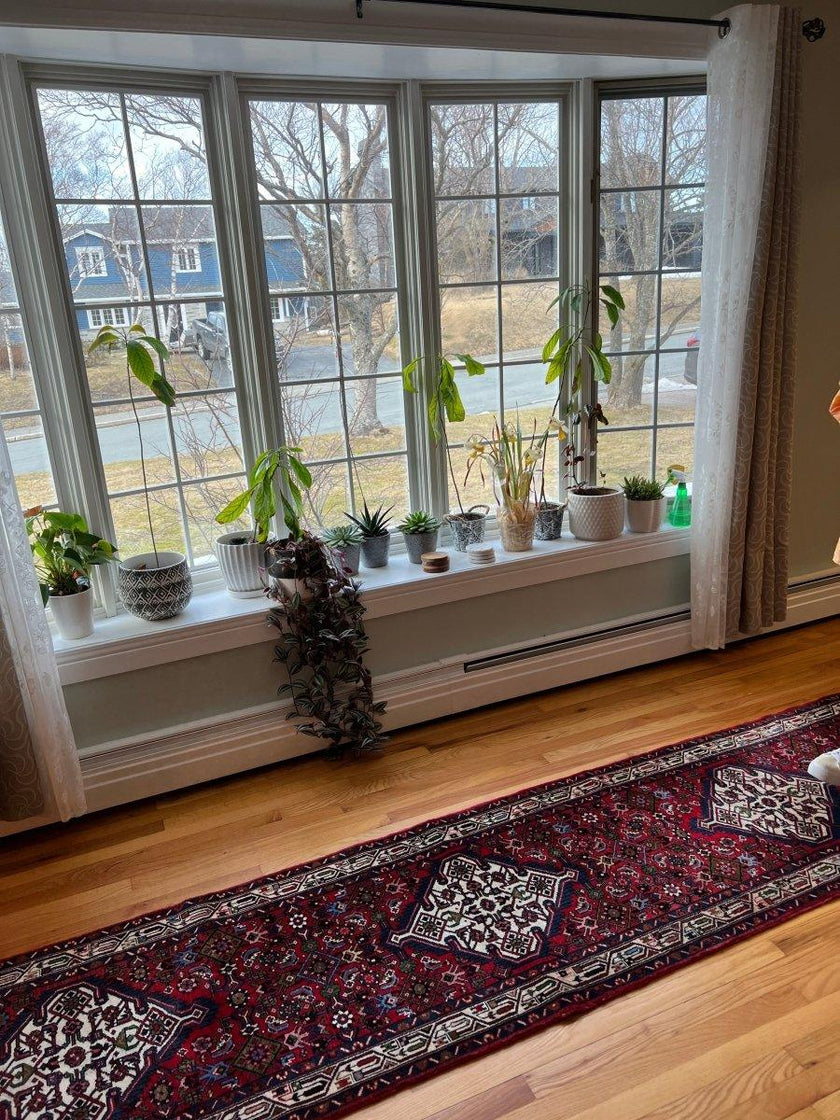 Persian Meshkin Runner | 10' 9