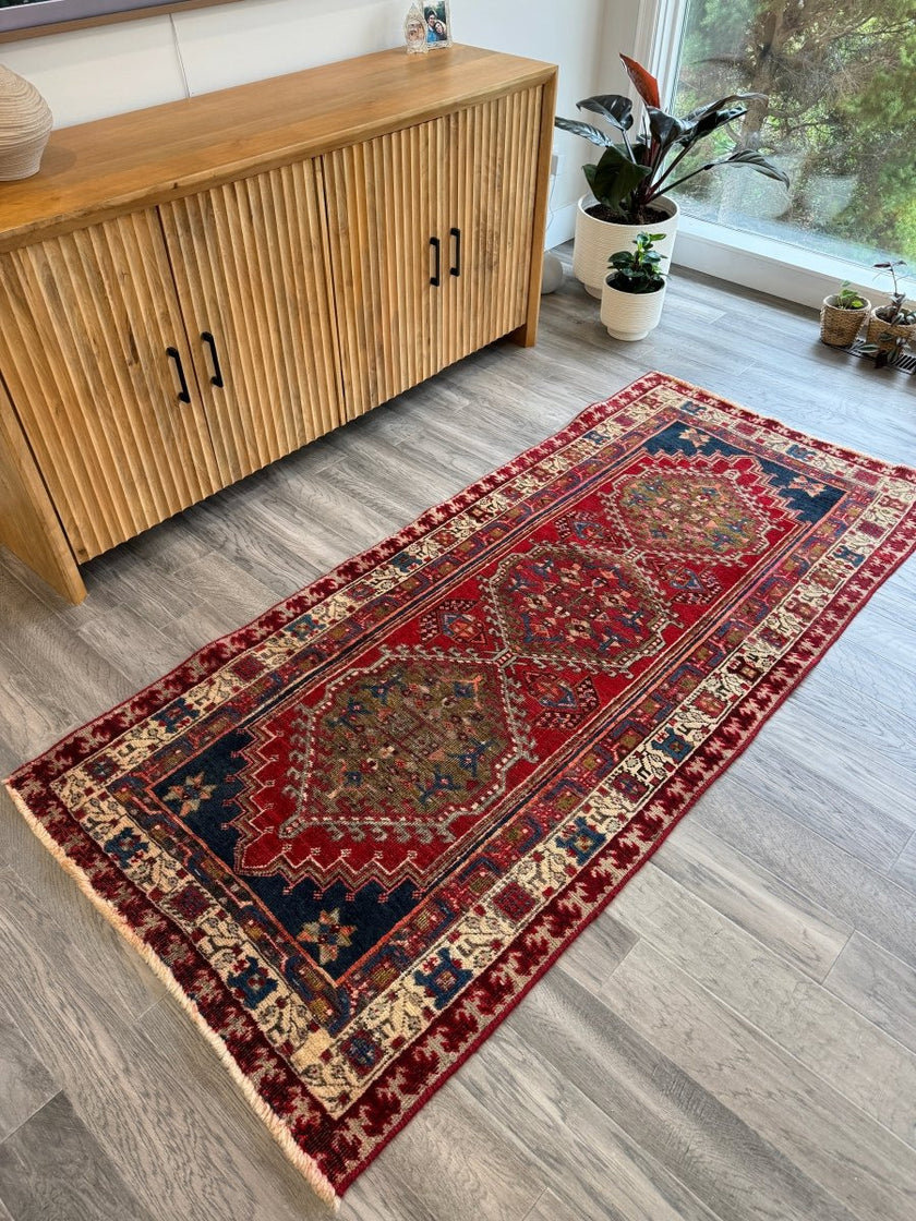 Persian Meshkin Runner Rug | 3' 3