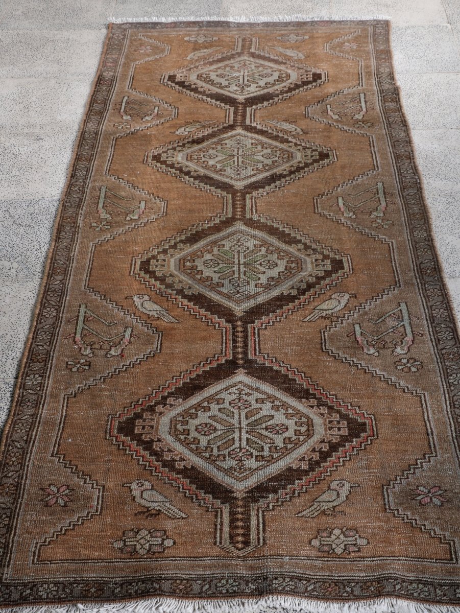 Persian Meshkin Runner Rug | 3' 3” x 8' 9