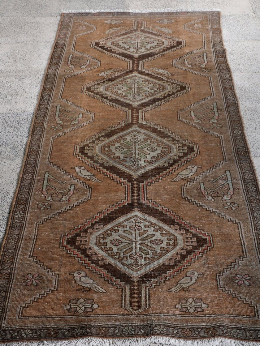 Persian Meshkin Runner Rug | 3' 3” x 8' 9