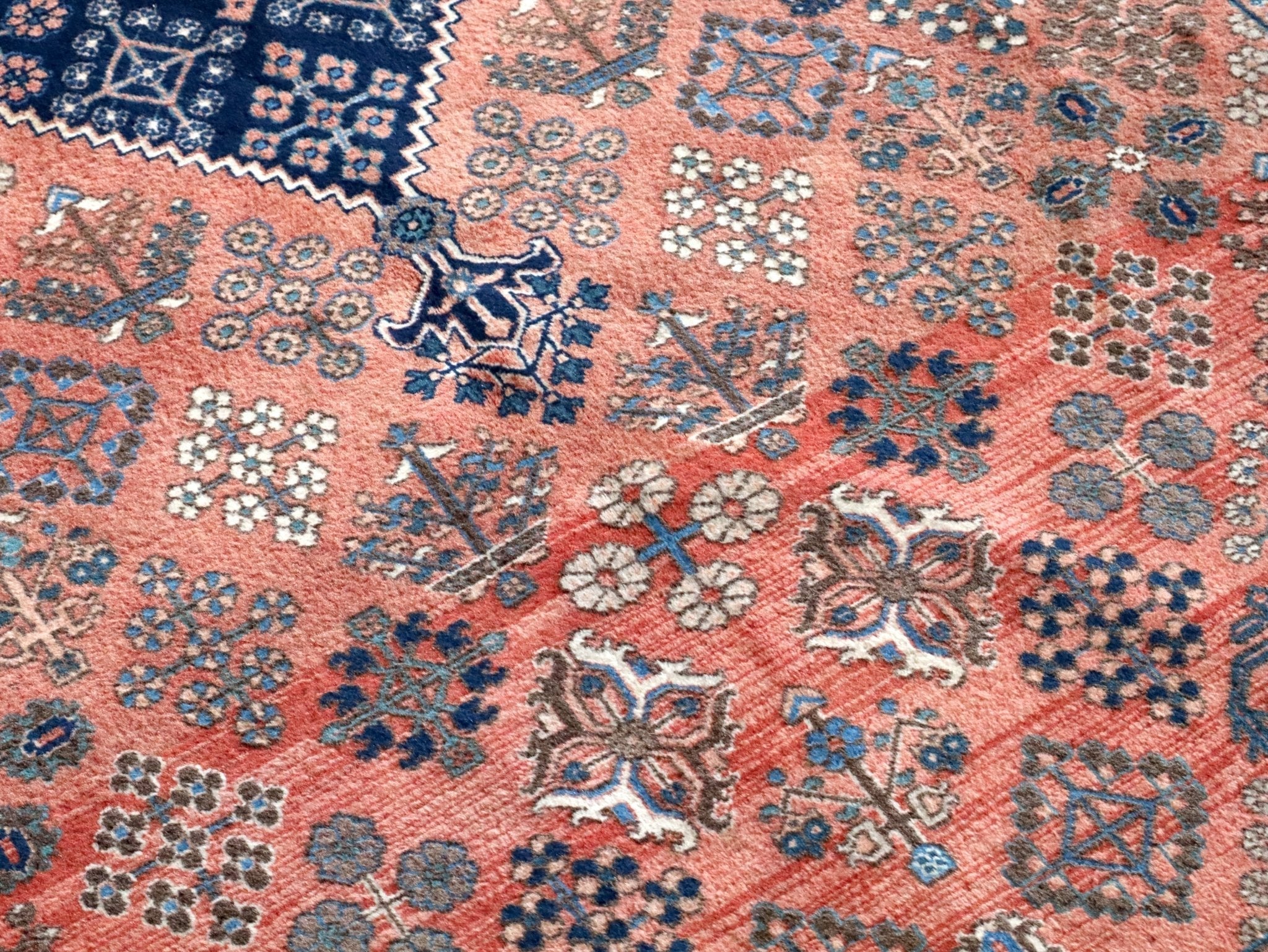Persian Meymeh Rug | 5' 7