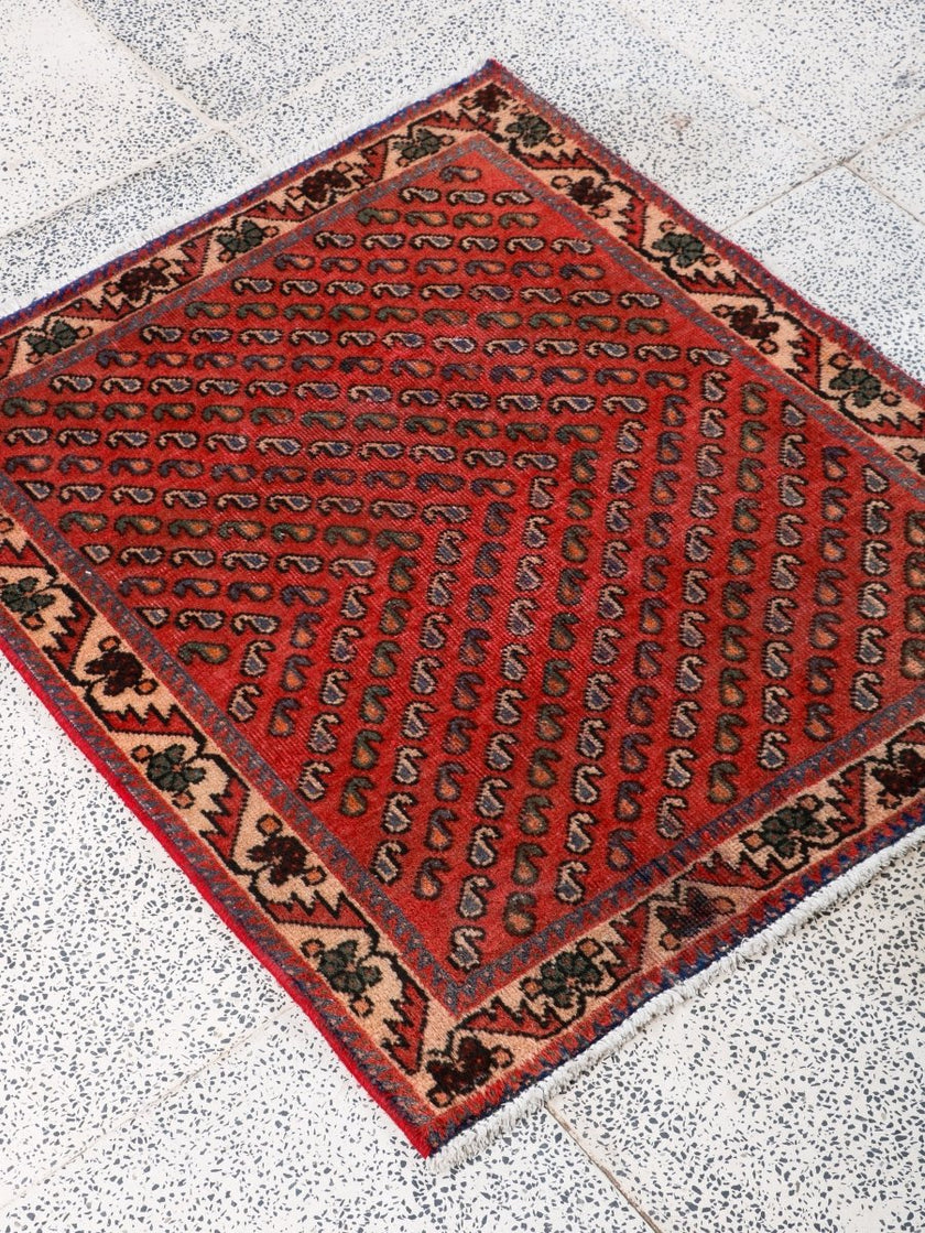 Persian Mir Arak Rug | 2' 5” x 2' 10