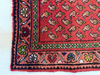 Persian Mir-Boteh Runner Rug | 2' 1” x 9' 5