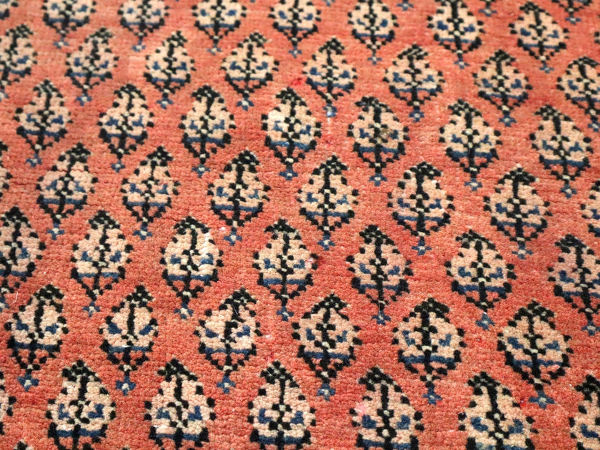 Persian Mir Rug | 3' 8” x 6' 11