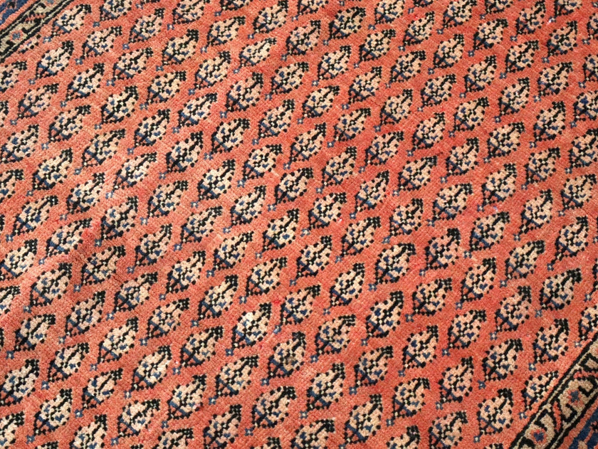 Persian Mir Rug | 3' 8” x 6' 11