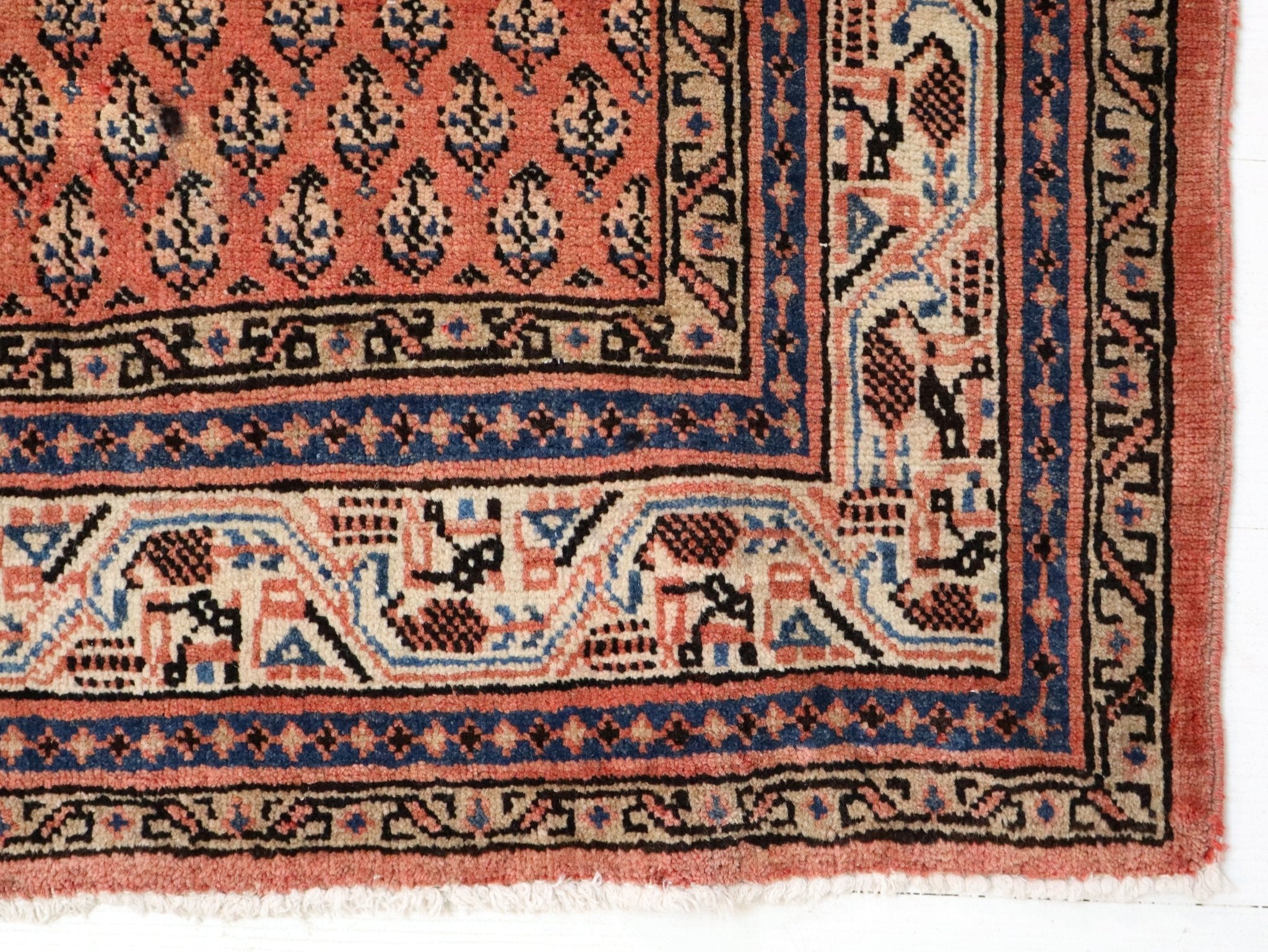 Persian Mir Rug | 3' 8” x 6' 11