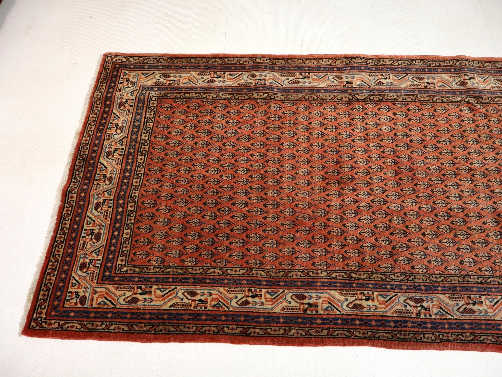 Persian Mir Rug | 3' 8” x 6' 11