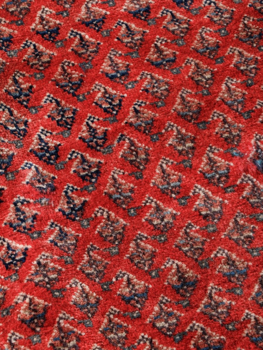 Persian Mir Rug | 8’ x 10’ 3”