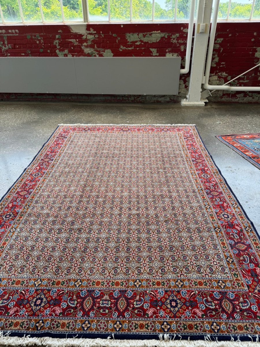 Persian Mood Birjand Rug | 6’ 5