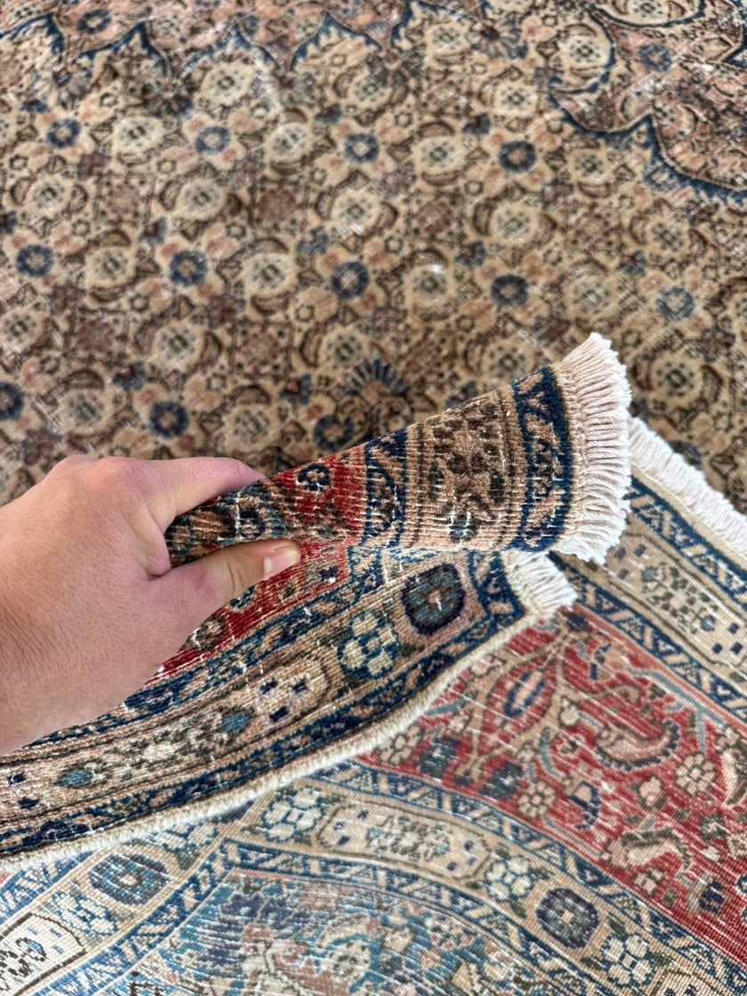 On hold for Sabrina | Persian Mood Rug | 8' 10