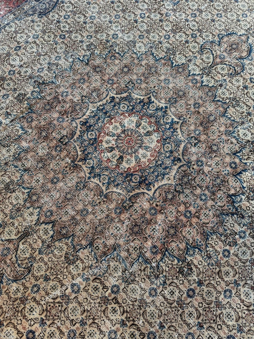 On hold for Sabrina | Persian Mood Rug | 8' 10