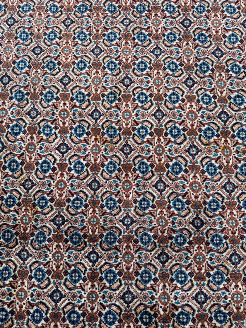 Persian Mood Rug | 7' 3