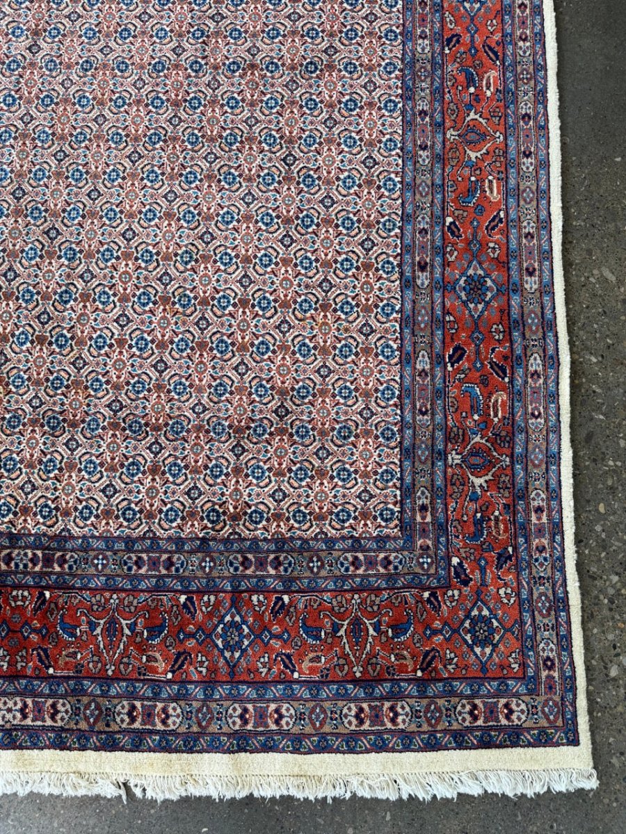 Persian Mood Rug | 7' 3