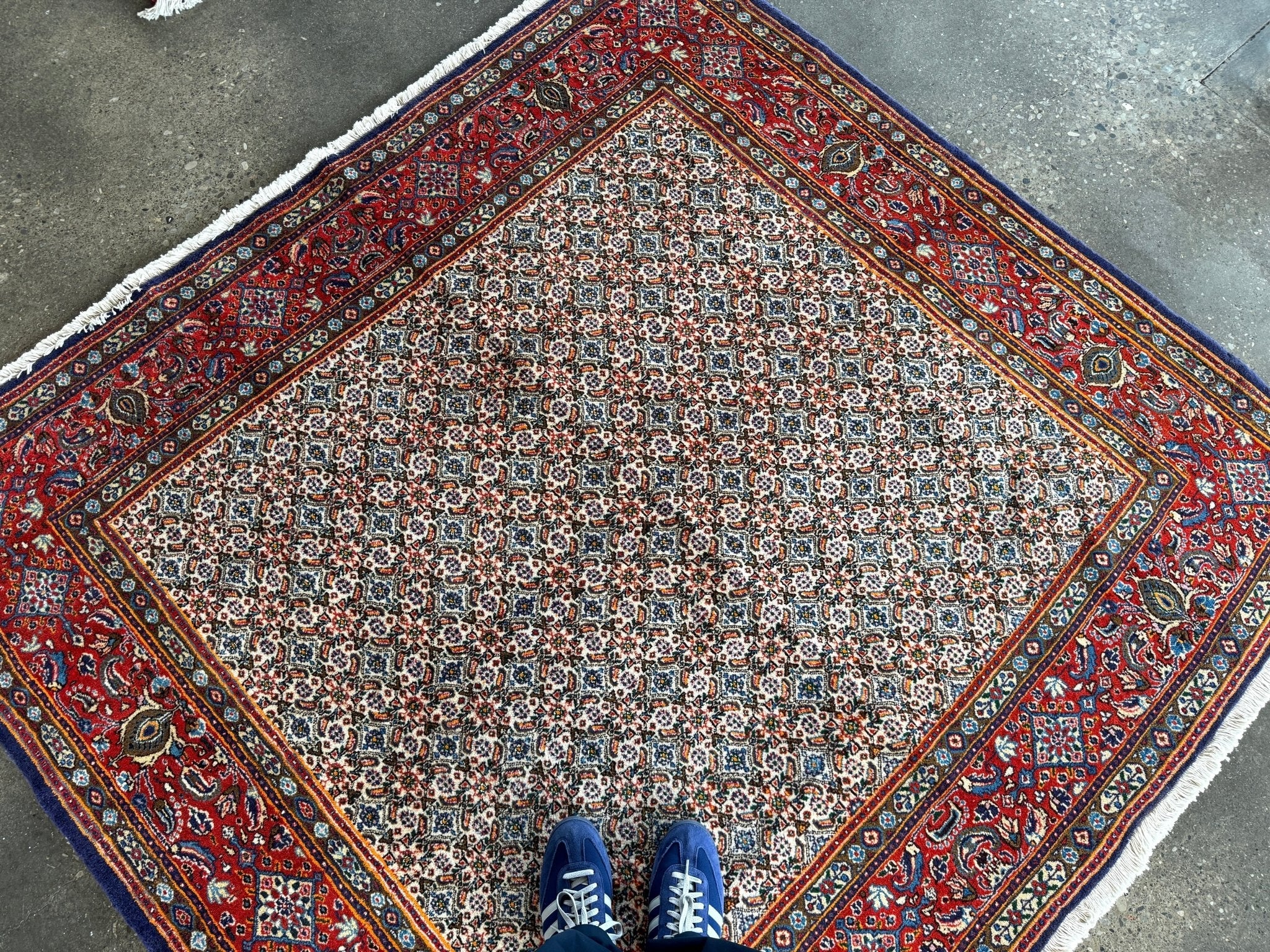 Persian Moud Rug | 6' 1