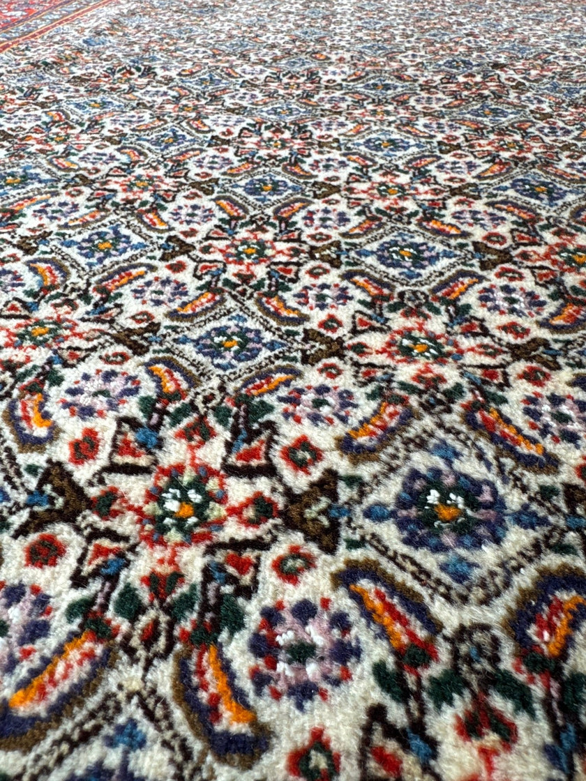 Persian Moud Rug | 6' 1
