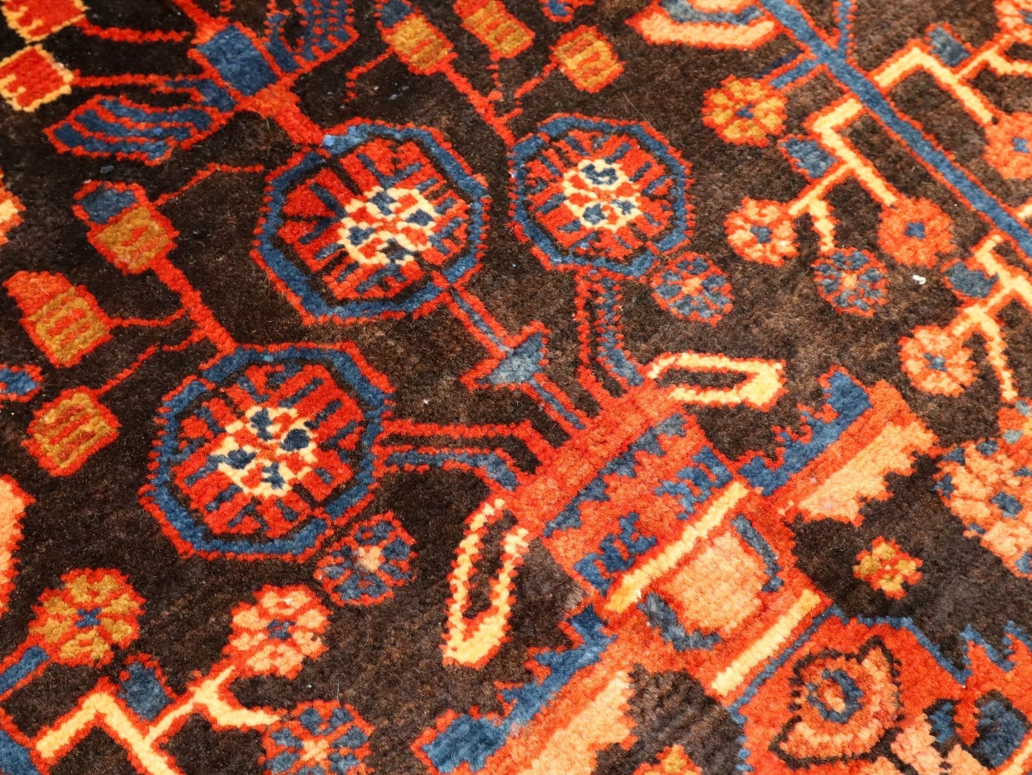 Persian Nahavand Rug | 5' 5” x 9' 7