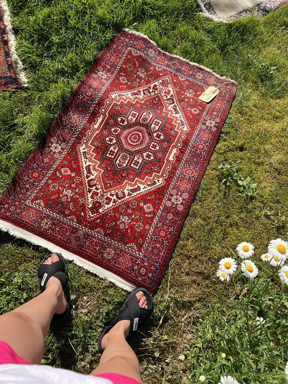 Persian Qoltoq Rug | 2' 6