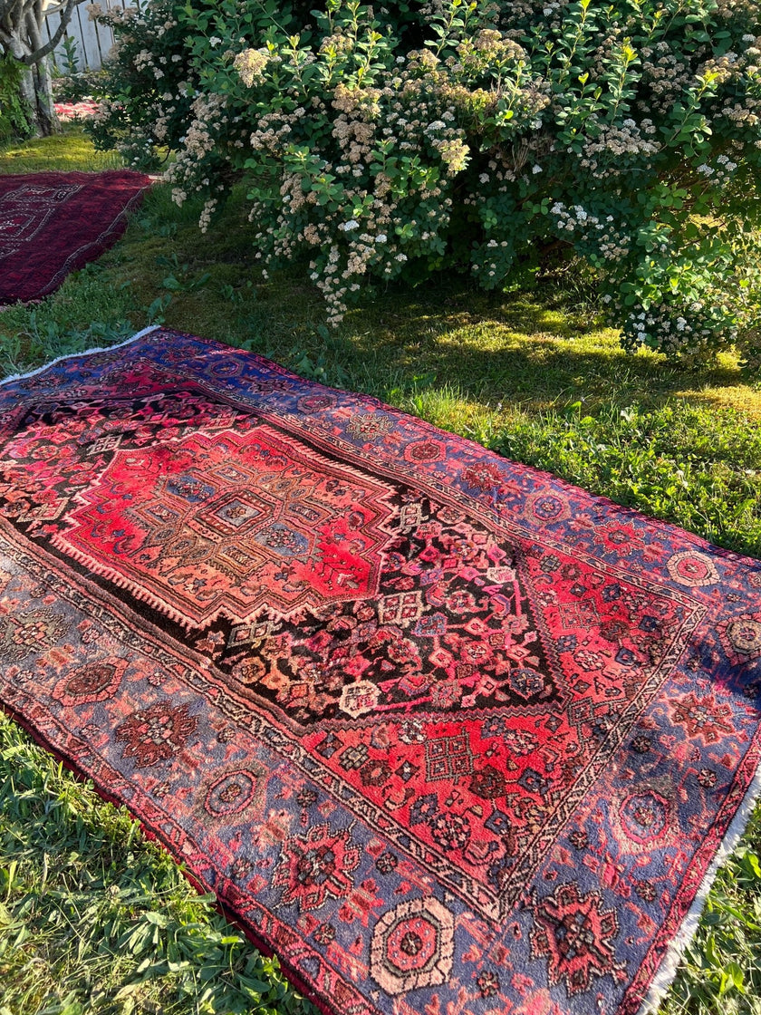 Persian Qoltoq Rug | 4' 3