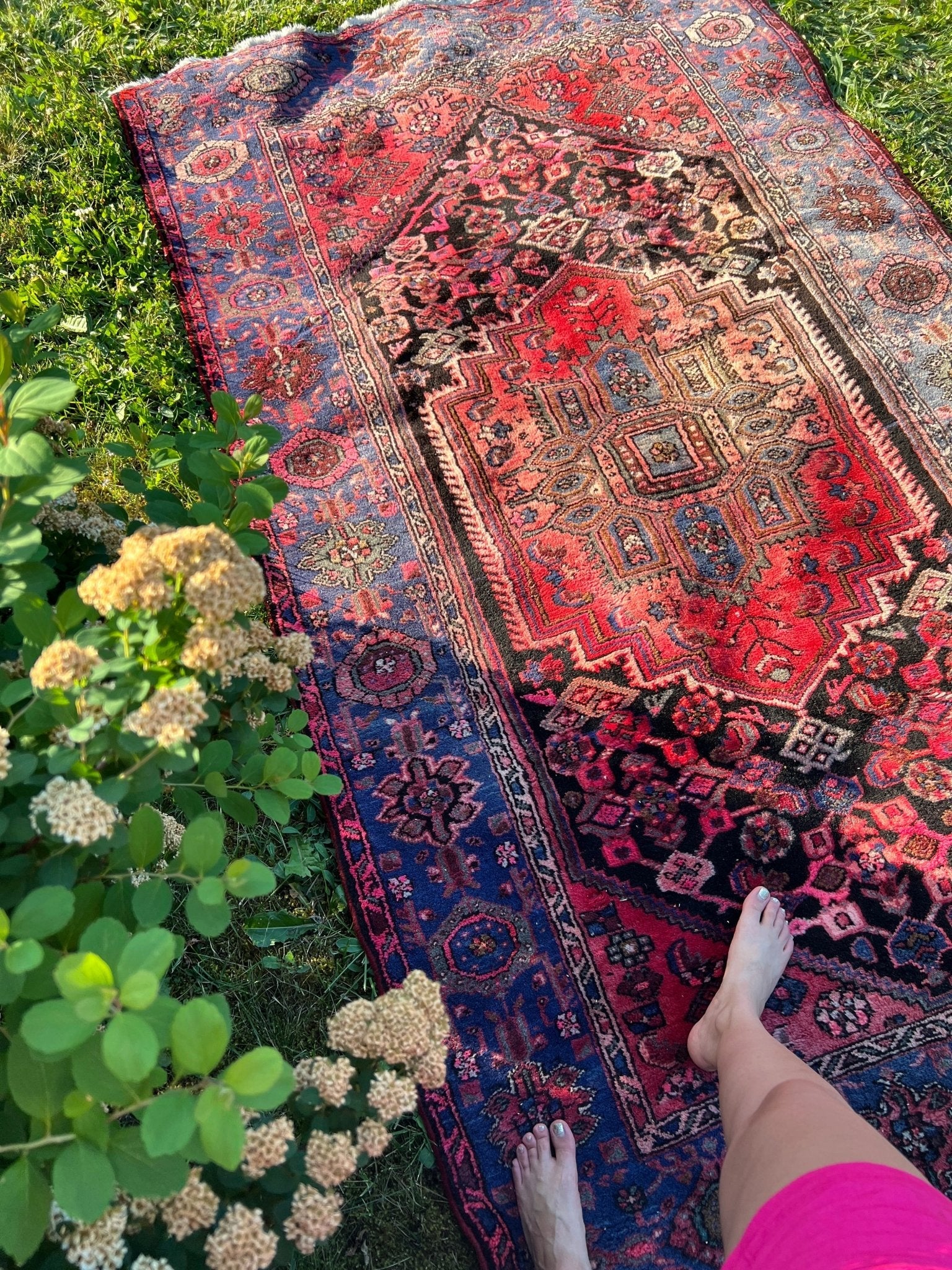 Persian Qoltoq Rug | 4' 3