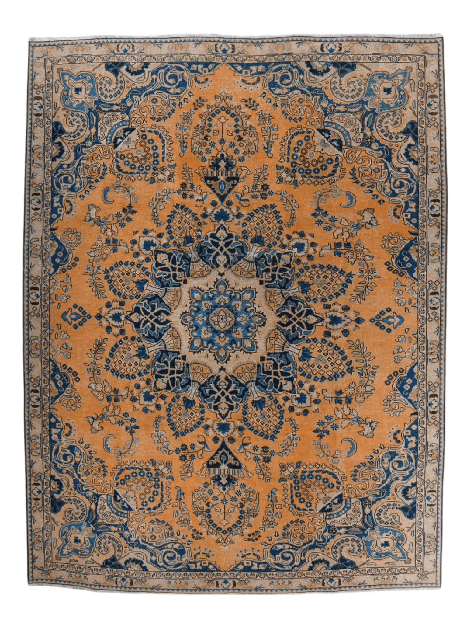 Persian Sabzevar Rug | 7' 3” x 10' 2