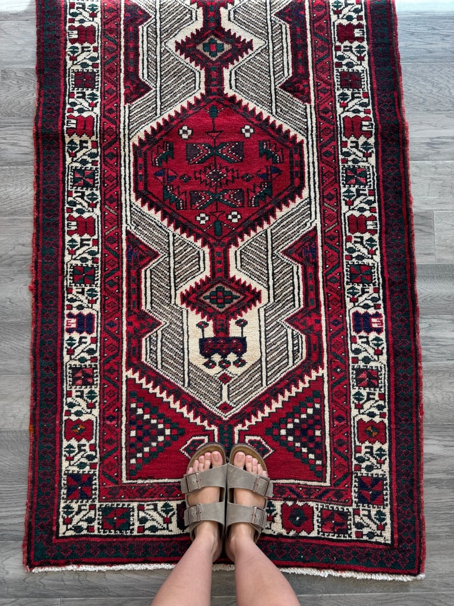 Persian Sarab Runner Rug | 2' 11