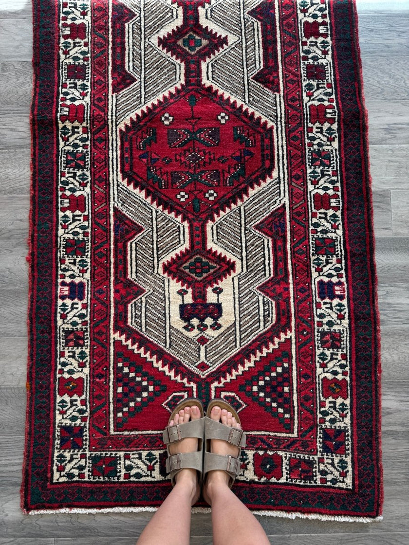 Persian Sarab Runner Rug | 2' 11