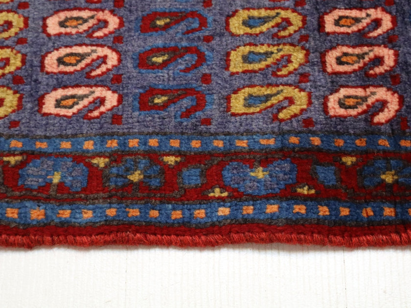 Persian Viss Runner Rug | 2' 11” x 7' 11