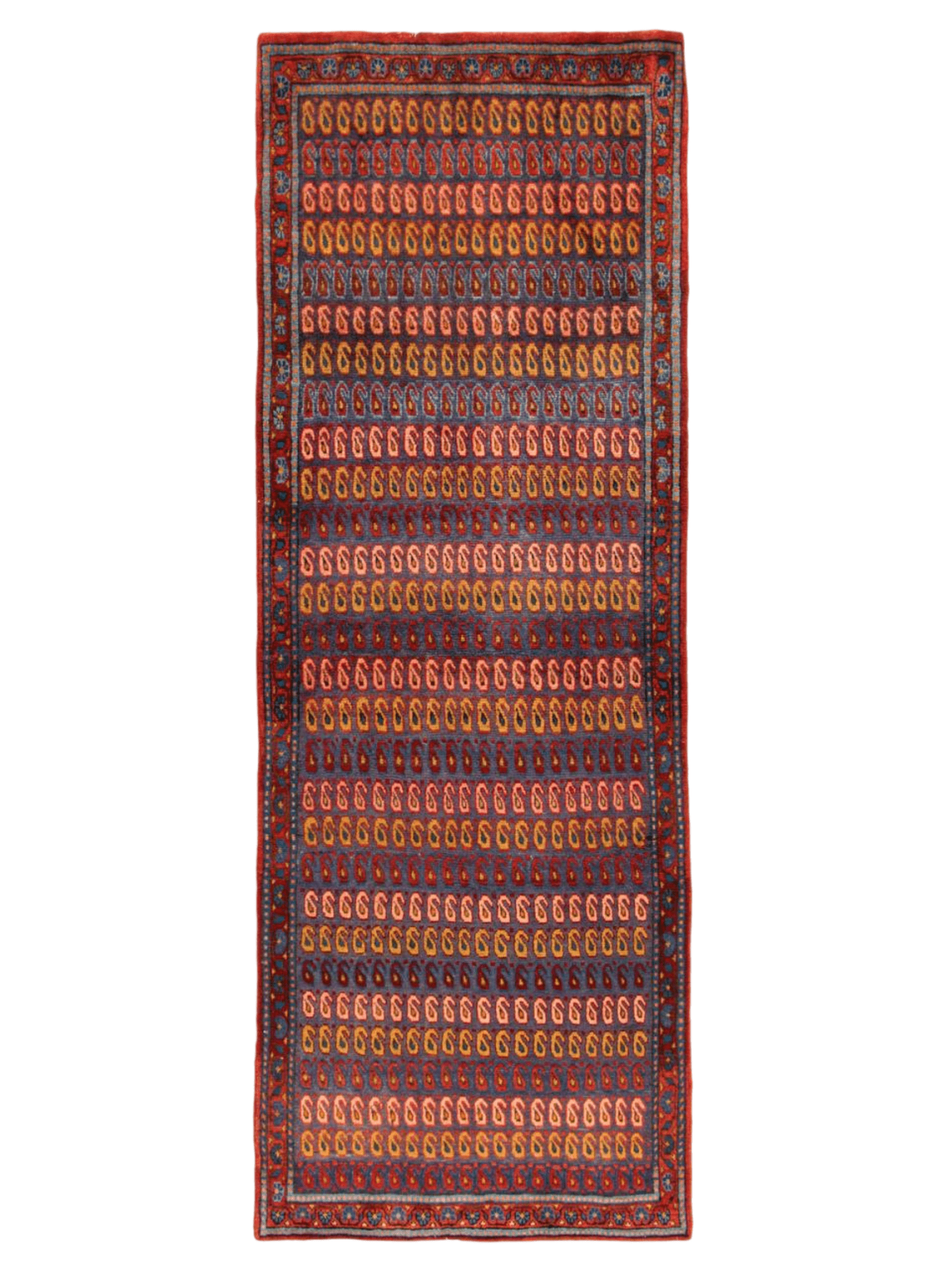 Persian Viss Runner Rug | 2' 11” x 7' 11