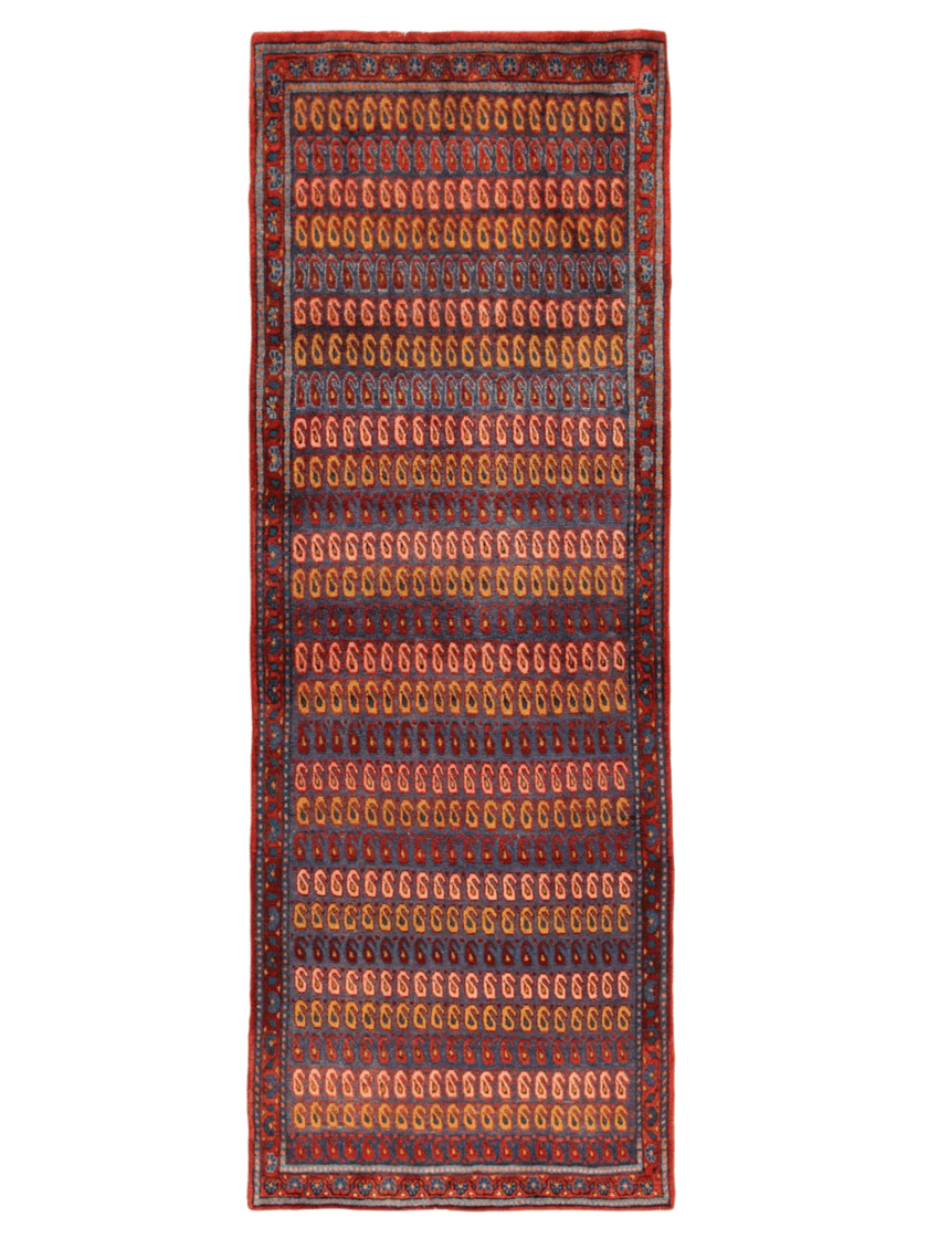 Persian Viss Runner Rug | 2' 11” x 7' 11