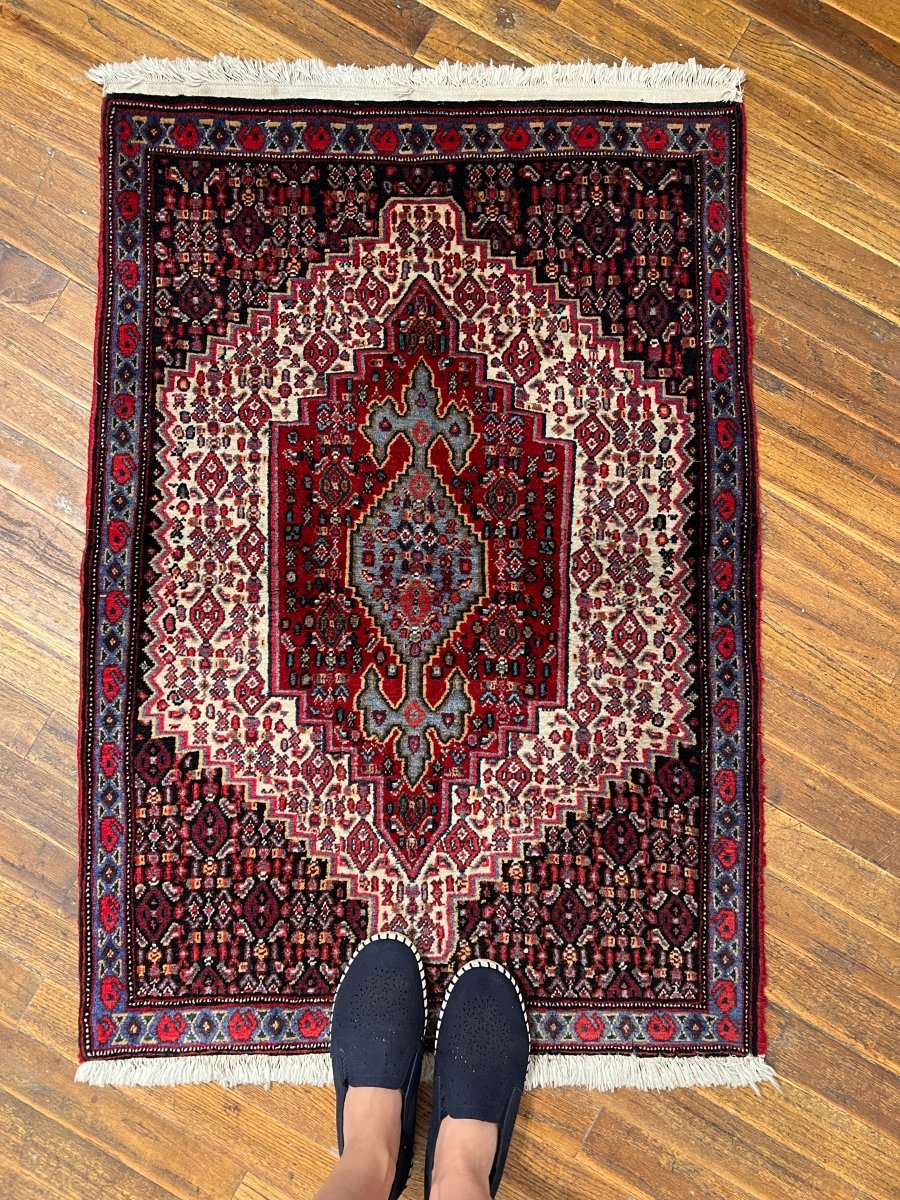 Persian Senneh Rug | 2' 4