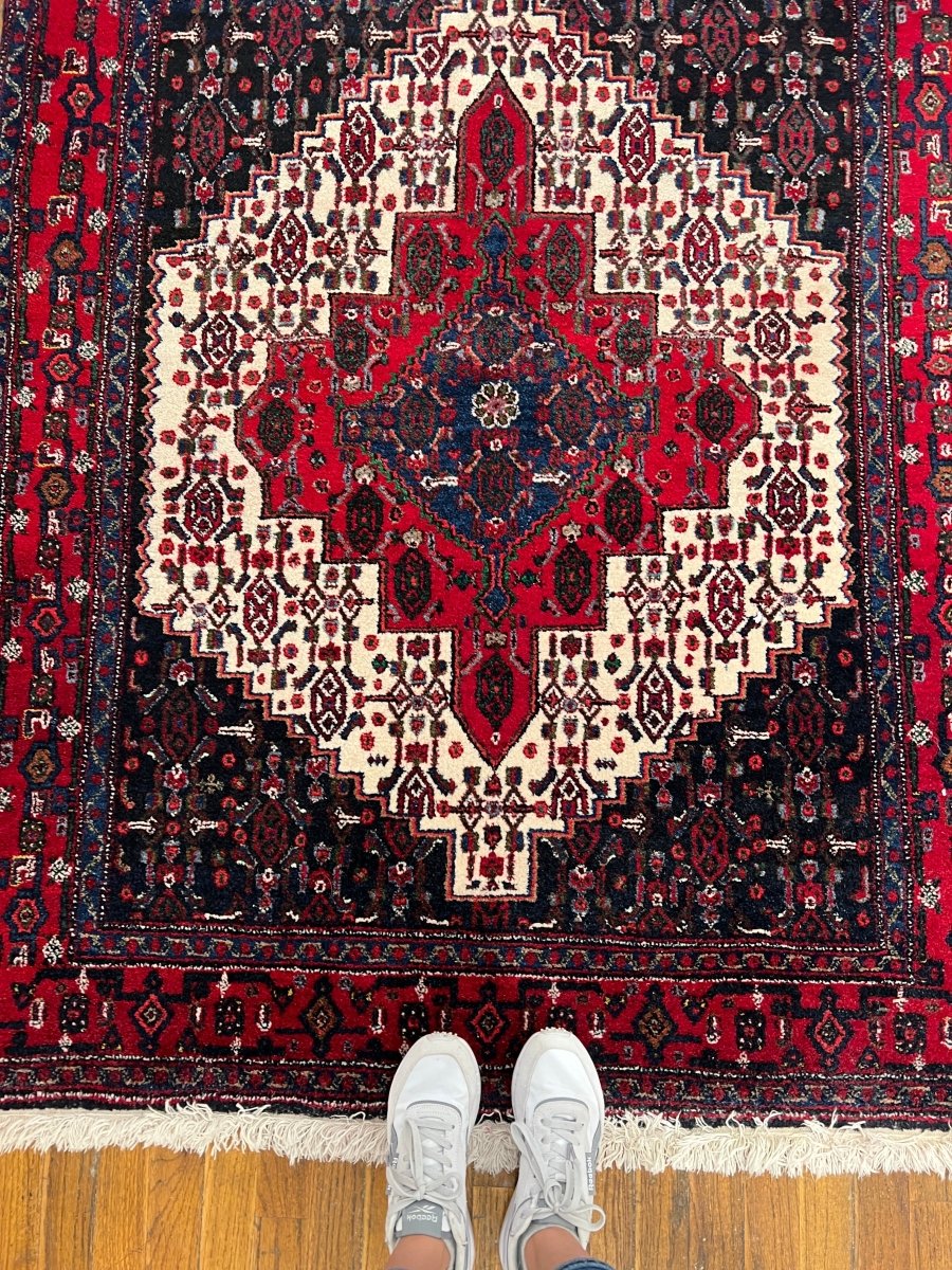 Persian Senneh Rug | 4' 2