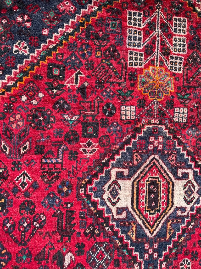 Persian Shiraz Rug | 10' 1