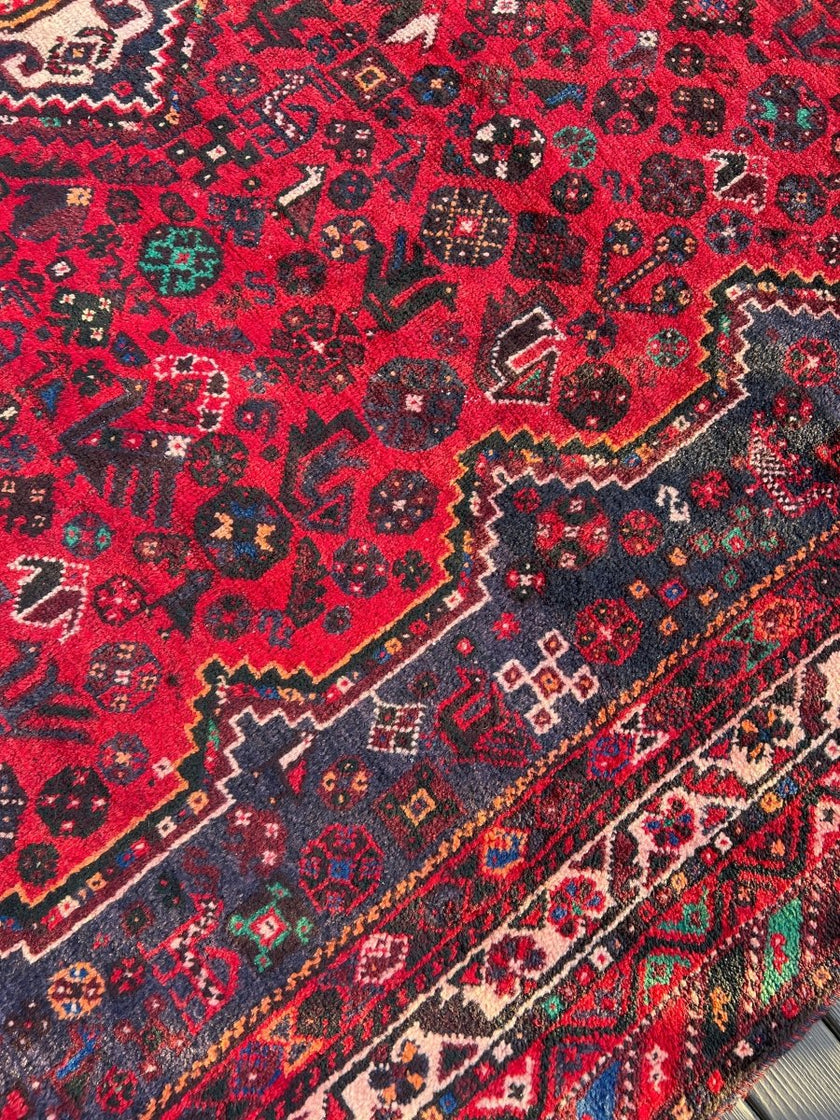 Persian Shiraz Rug | 10' 1