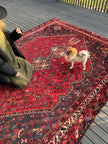 Persian Shiraz Rug | 10' 1