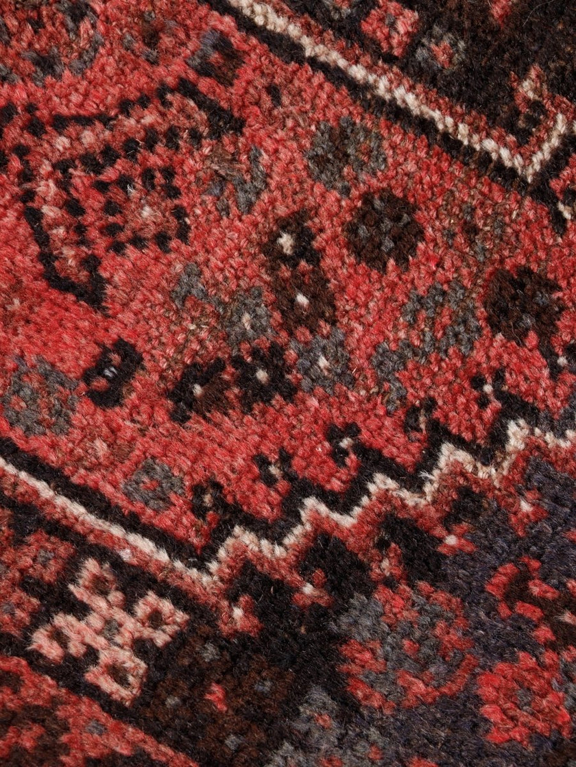 Persian Shiraz Rug | 3' 5” x 5' 3