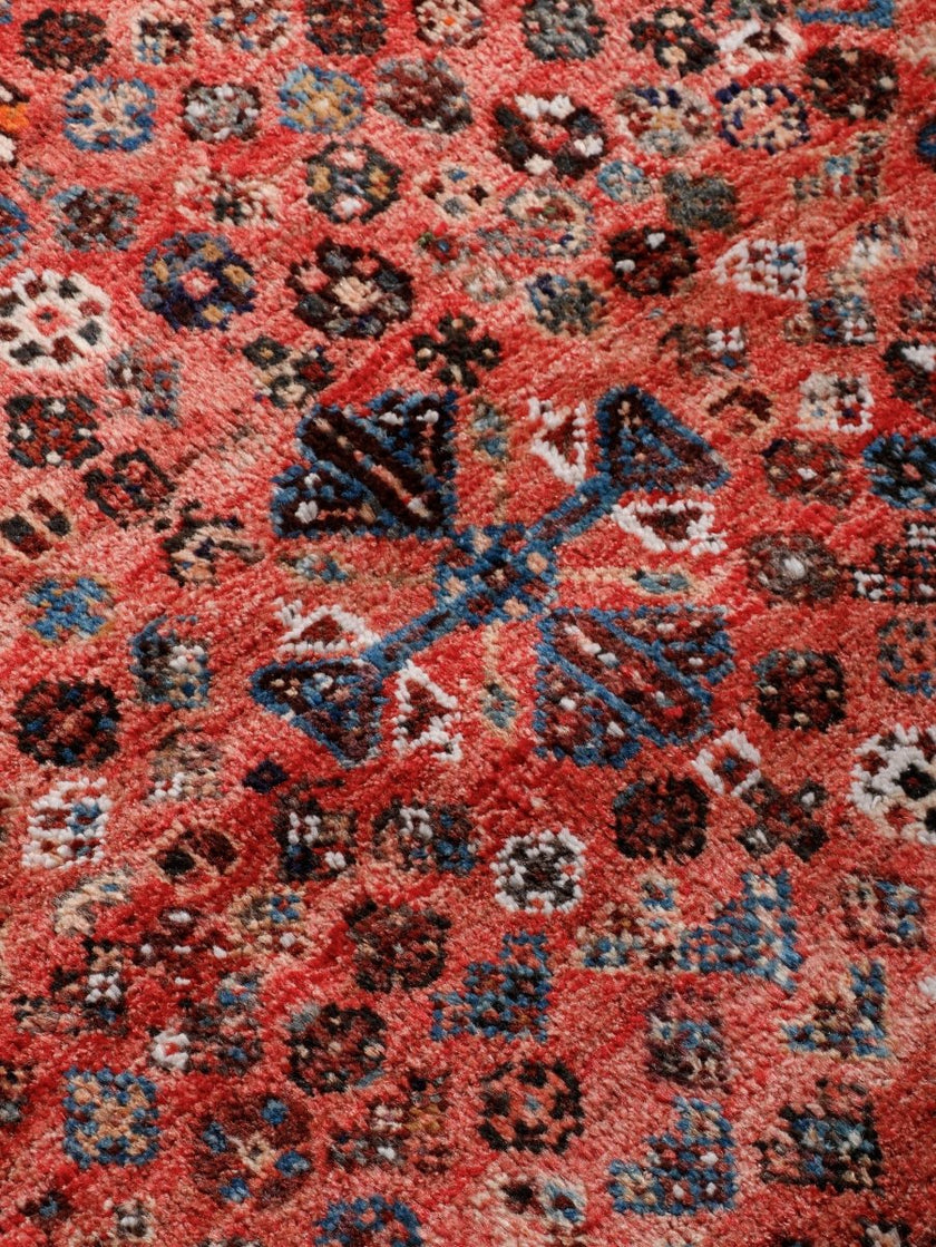 Persian Shiraz Rug | 3' 6” x 5' 1