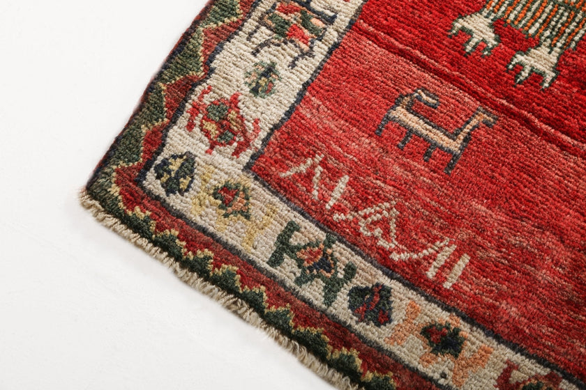 Persian Shiraz Rug | 5' 11