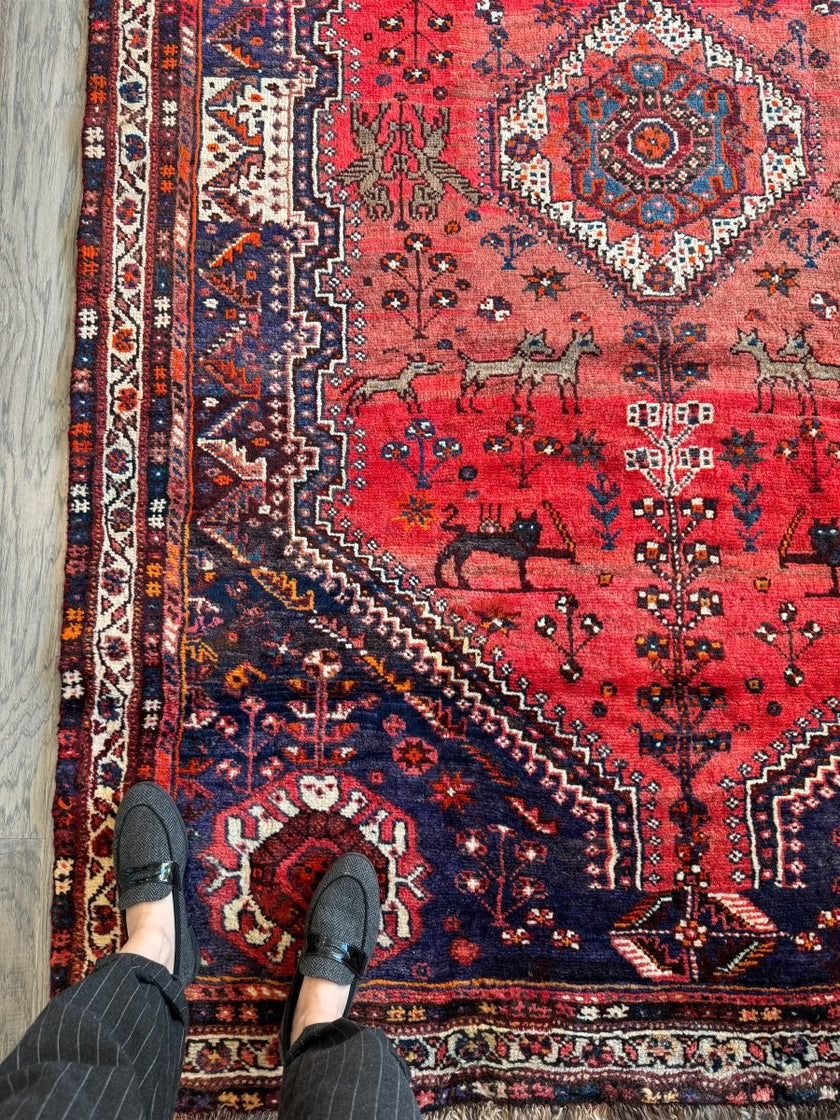Persian Shiraz Rug | 5' 5